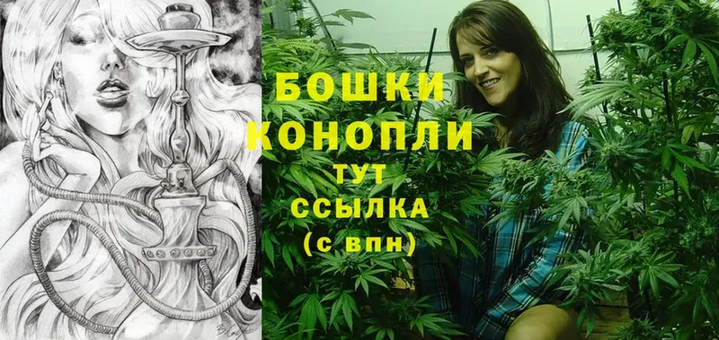 Конопля SATIVA & INDICA  kraken сайт  Пучеж 